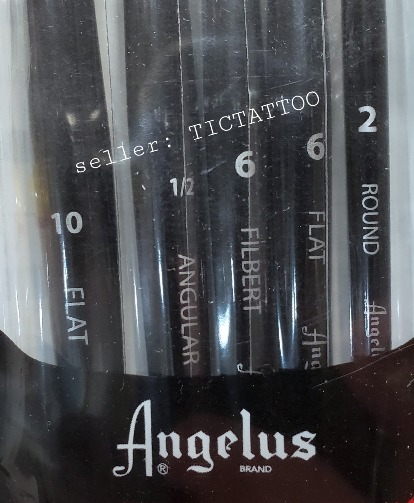 🔥 Angelus Leather Paint Basics Kit 11pc Set Paints Brushes NIB NEW
