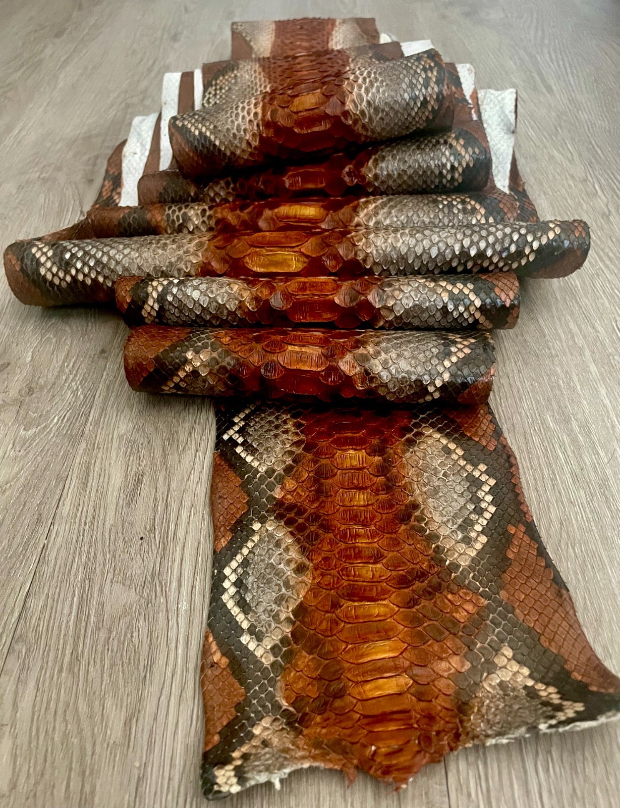 GENUINE FULL PYTHON SNAKE SKIN HIDE RARE COLOR 4.10 meter 161″ LONG GRADE A