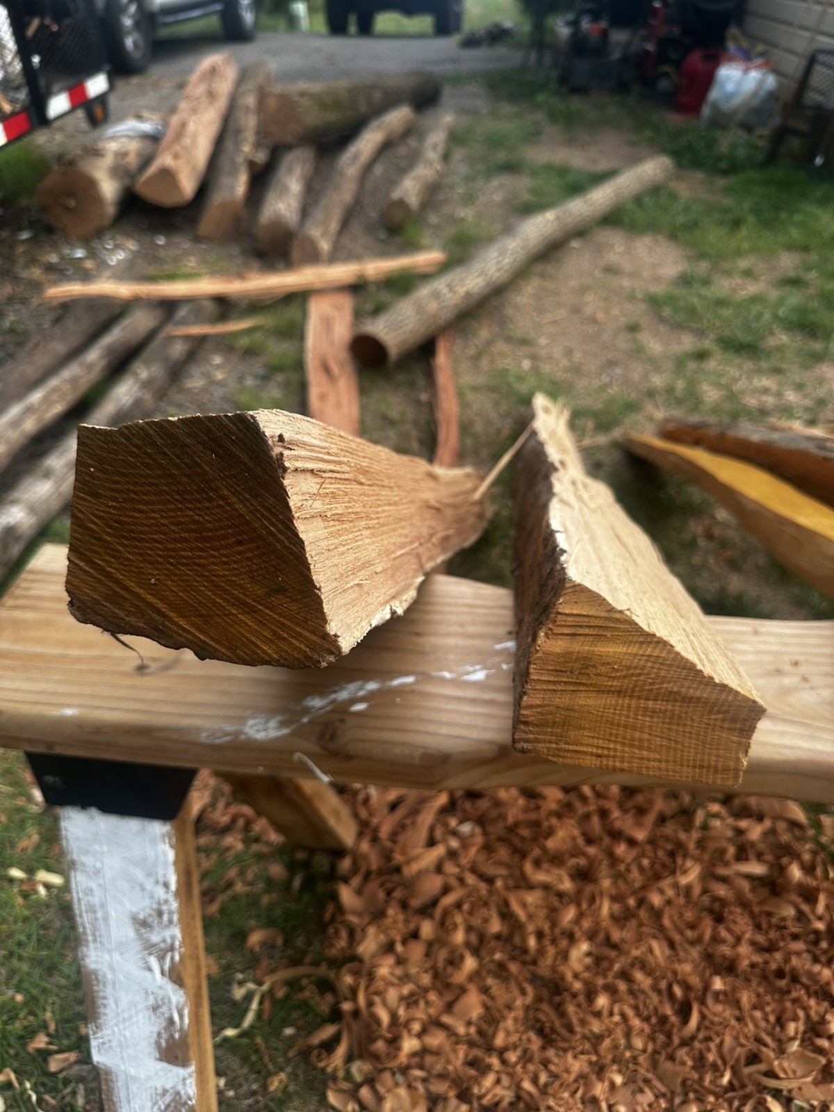 Premium Grade, Aged And Cured Black Locust Bow Staves