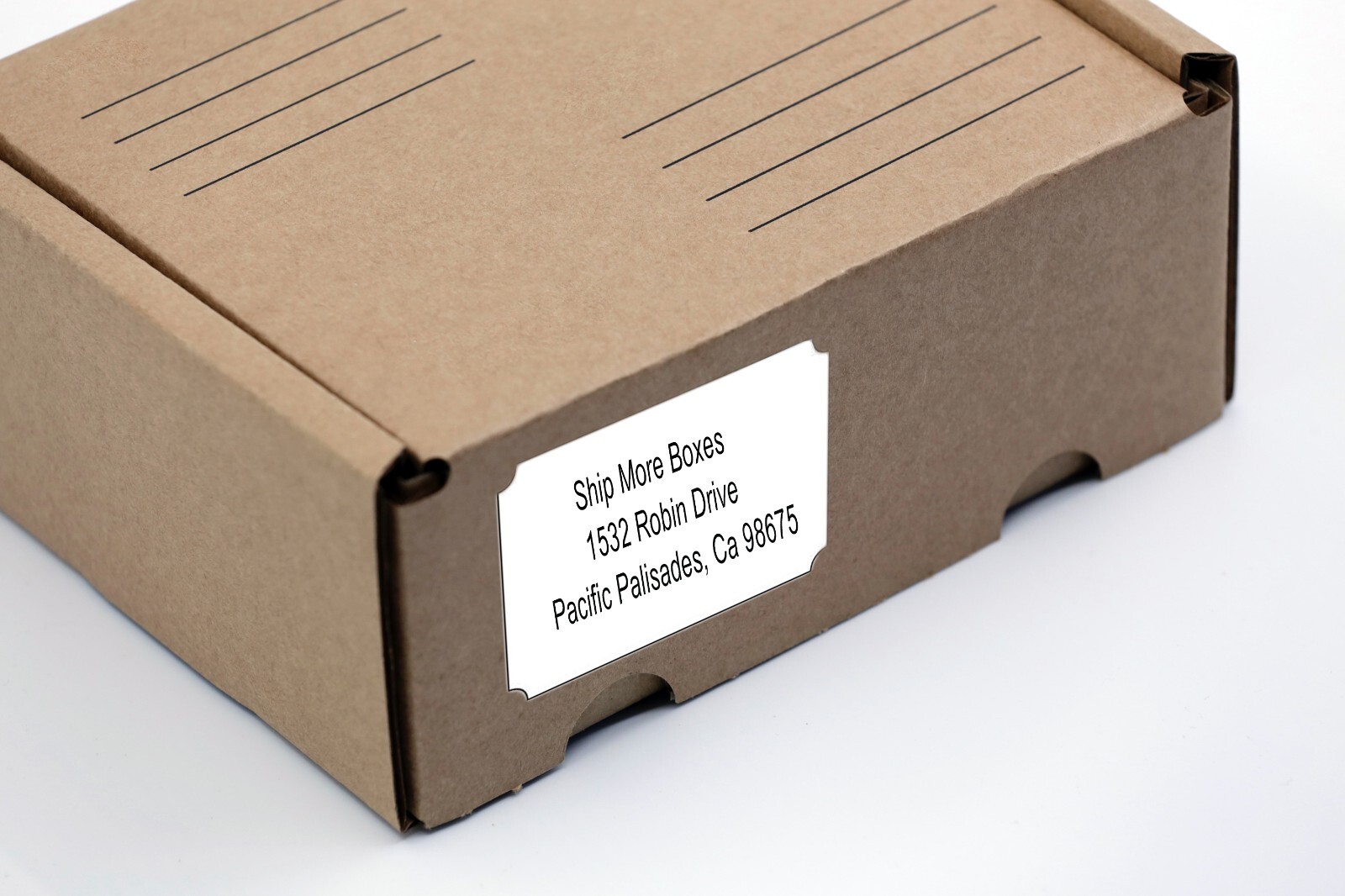 3″ x 2″ Printing Labels White Matte Stickers Laser/Inkjet Template Included