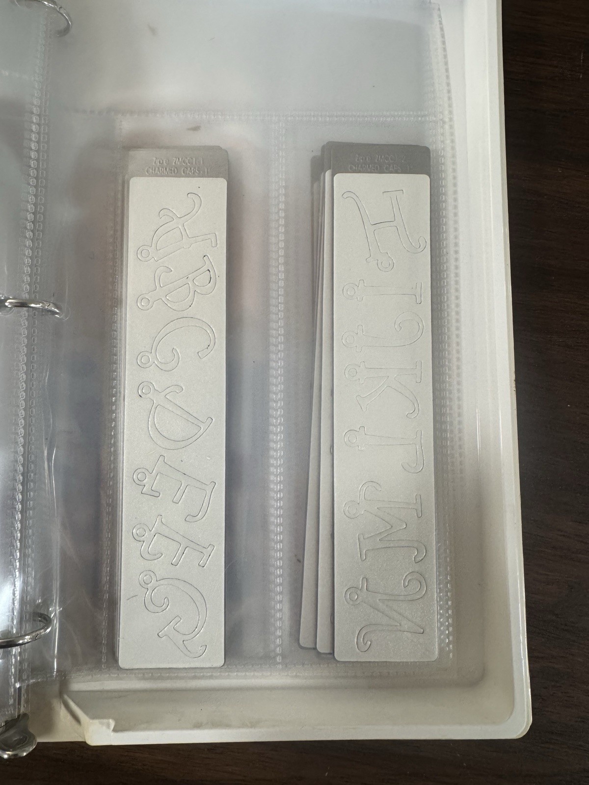 Zip’eCuts Wafer Thin Dies by AccuCut * 40 + Shapes in a Zip’eCuts Case