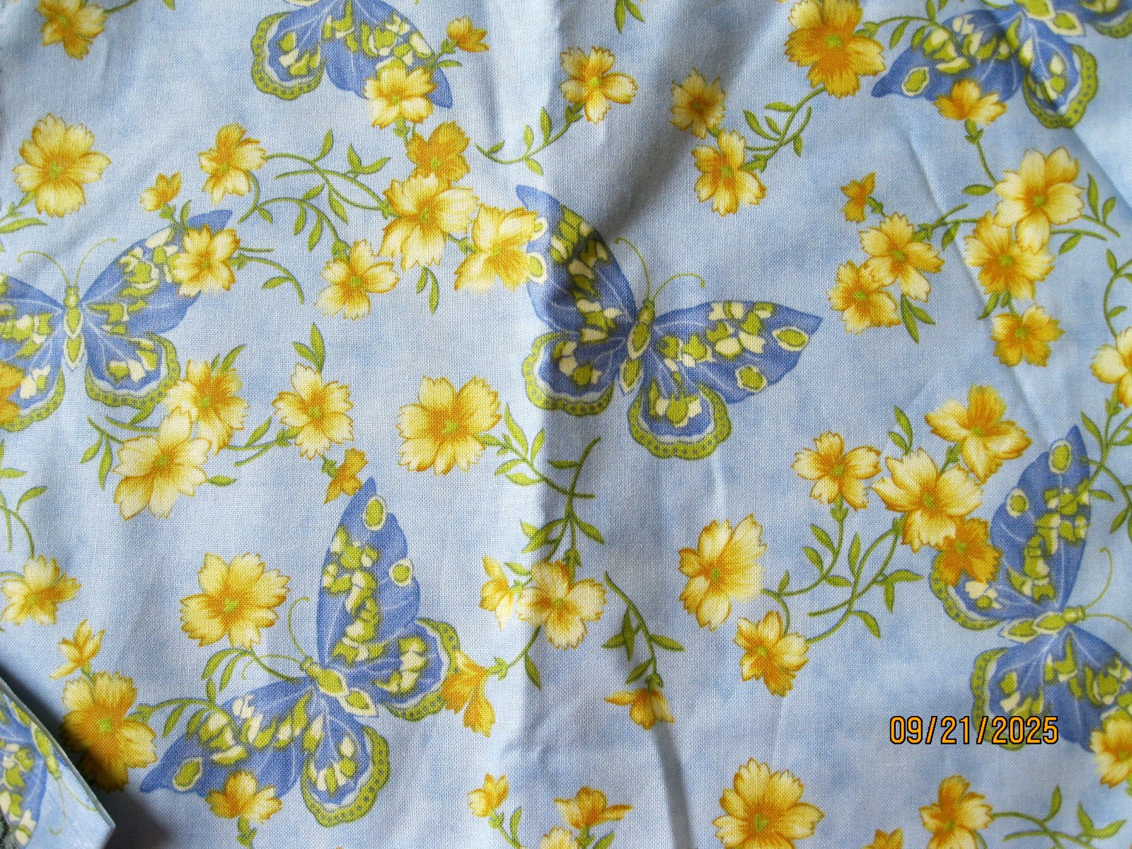 Light blue background with blue butterflies and yellow flowers