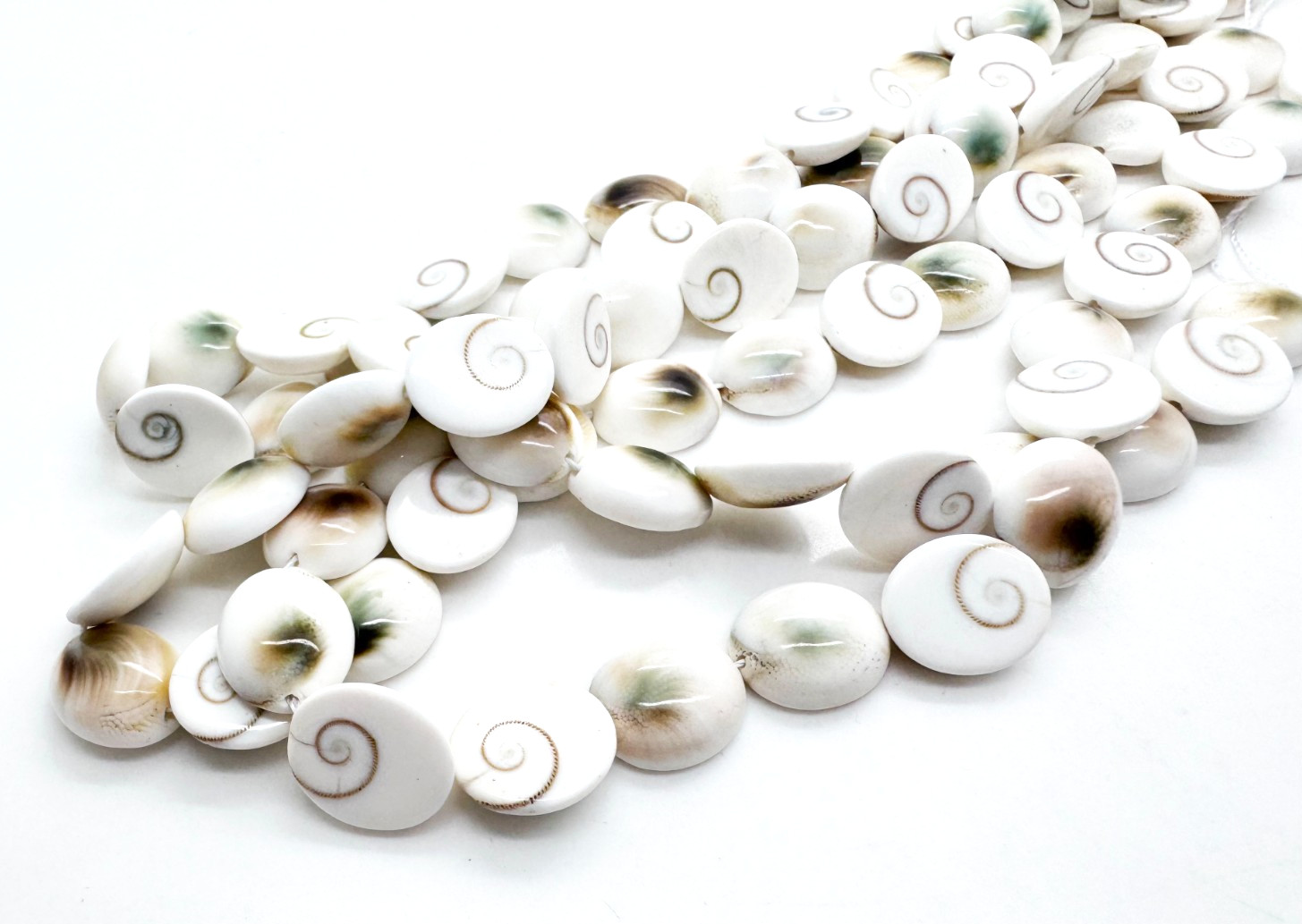 Genuine Natural White Shiva Eye Pacific Cat’s Eye Spiral Shell Oval Beads PG292