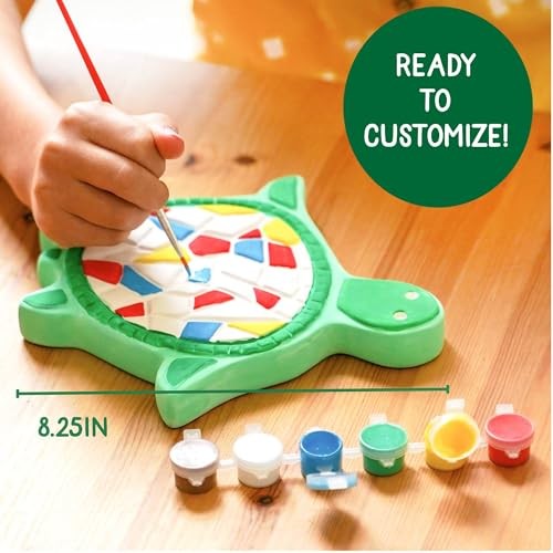 Mosaic DIY Stepping Stone Kit, Includes Ceramic Stone & 6 Vibrant Turtle