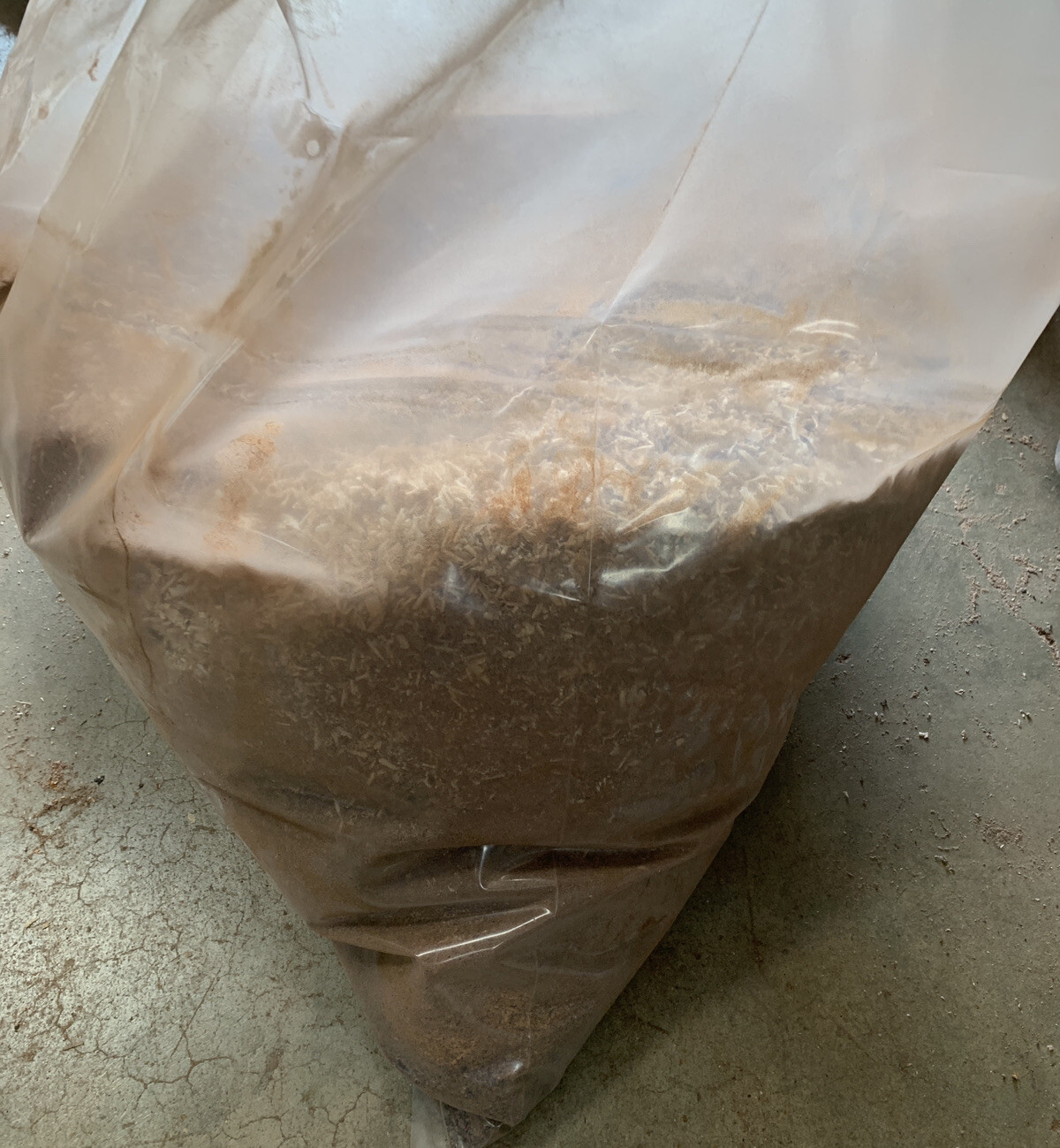 Organic MIXED Saw dust, Fresh 2 Lbs SAWDUST, Great for Gardening, Wood Working