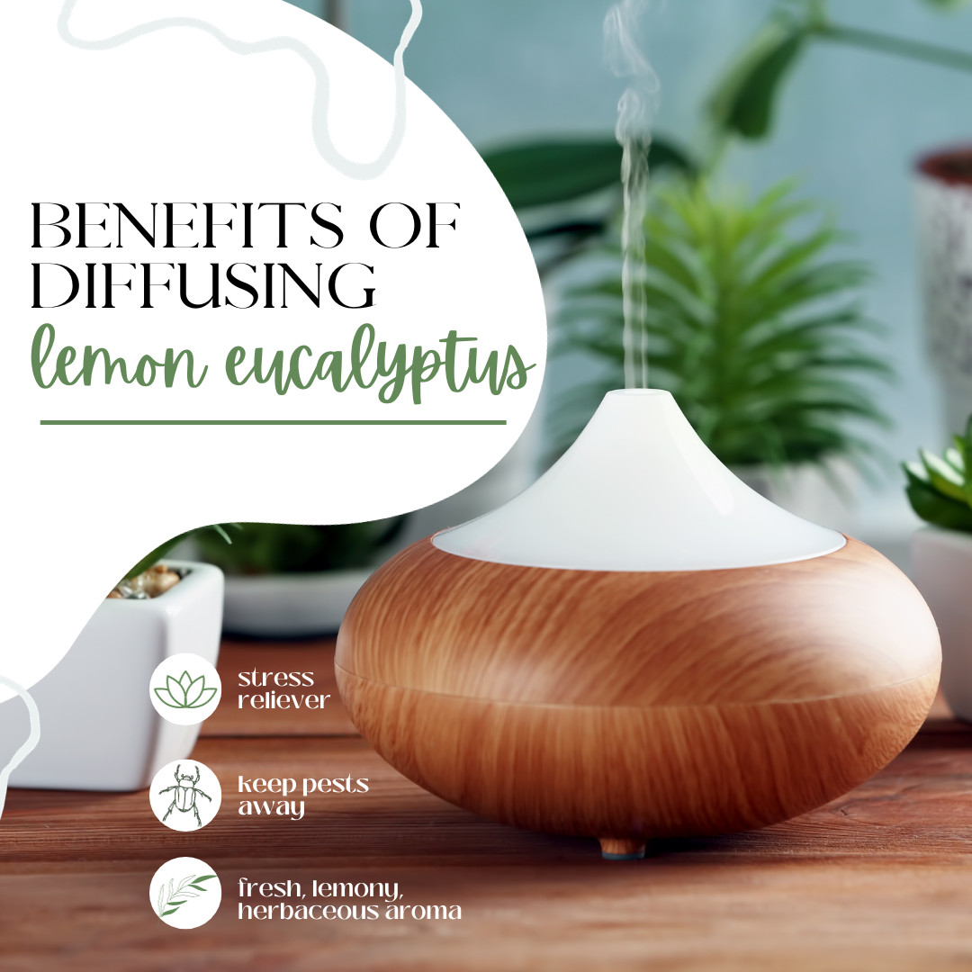 32 fl oz Lemon Eucalyptus Essential Oil (100% Pure & Natural) in Aluminum Bottle