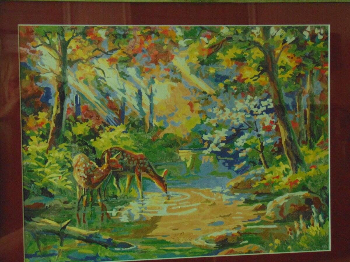FRAMED DEER PAINT BY NUMBER signed Steve Davis custom wood frame matte & glass