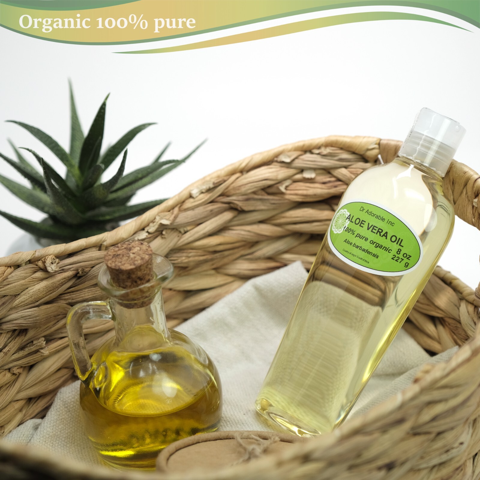 Pure Aloe Vera Oil 2 oz 4 oz 8 oz 16 oz up to gallon Free shipping Organic
