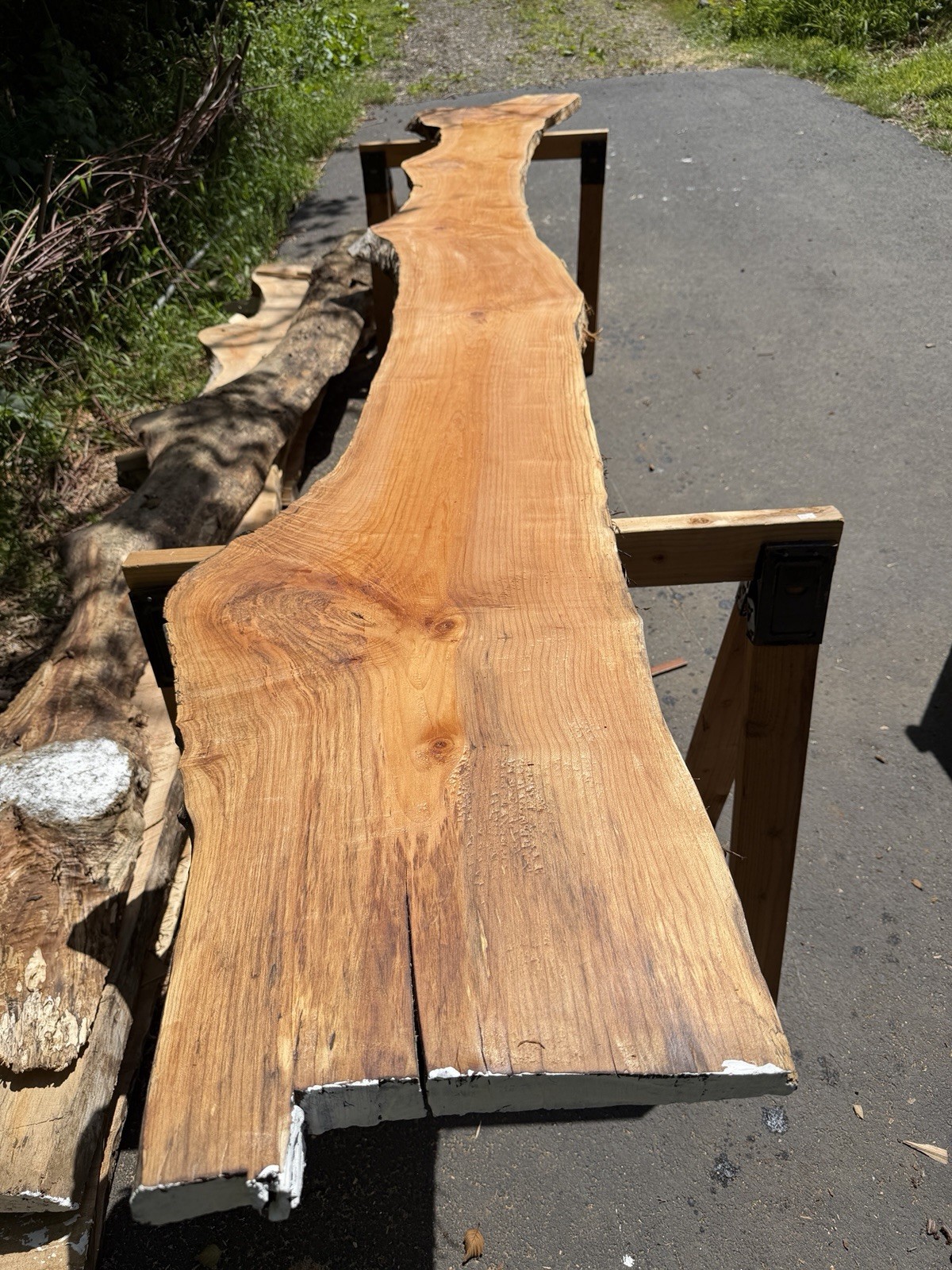 13’ Live Edge Big Leaf Maple Slab Highly Figured Low Moisture Delivery Options