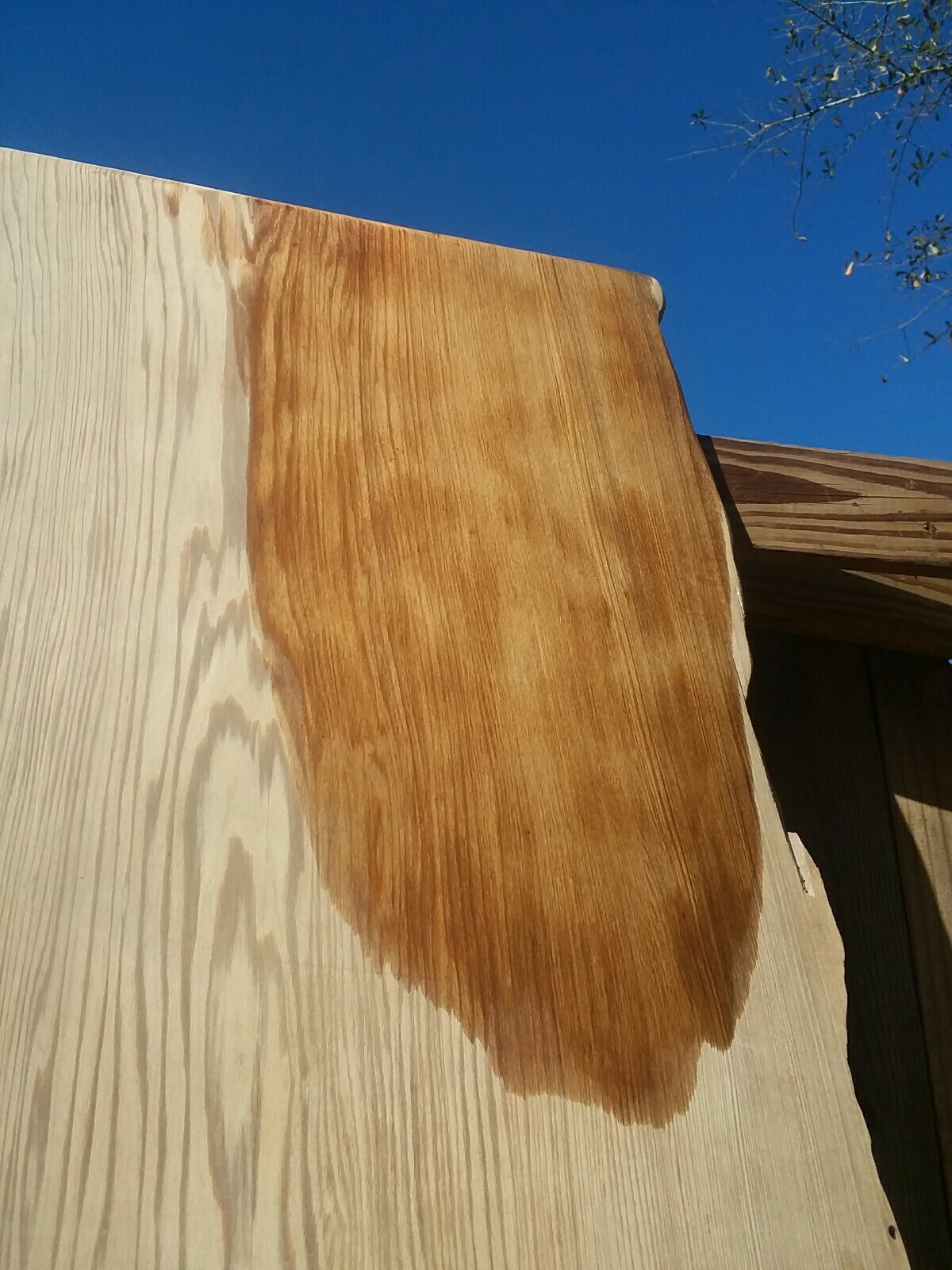 RETURNS ACCEPTED Carbon Dated Old Growth Sinker Cypress Slab Countertop TableTop