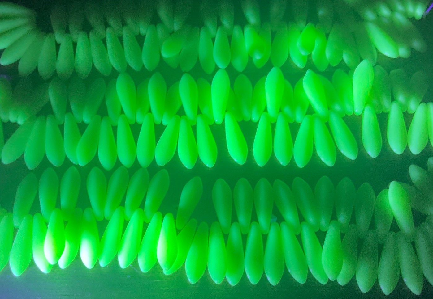 16mm x 5mm Milky Yellow White Uranium Dagger Beads 5inch Strand Czech Glass