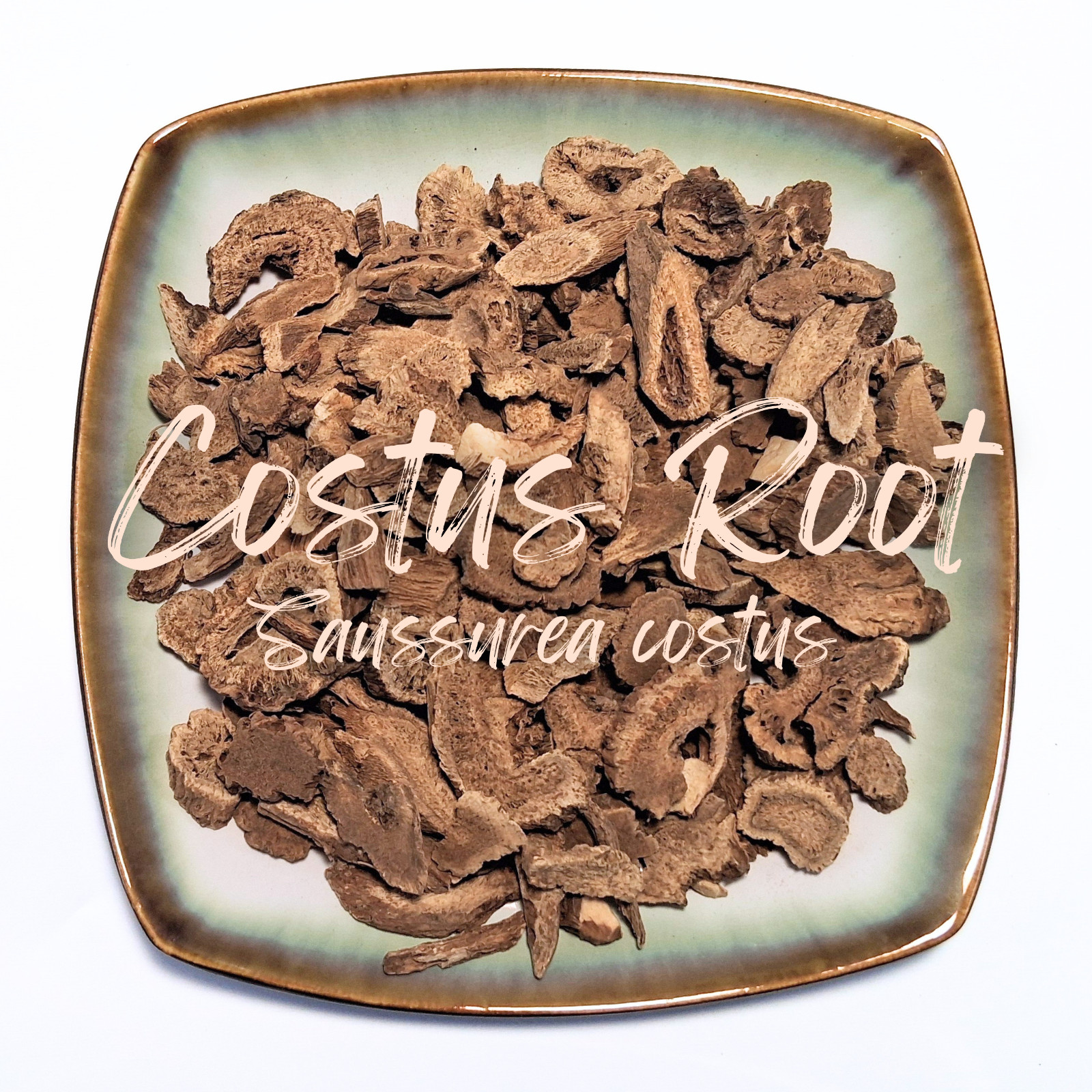 Costus Root – Dried Herb Incense Kuth – Saussurea costus CHOOSE 0.5 – 4 oz