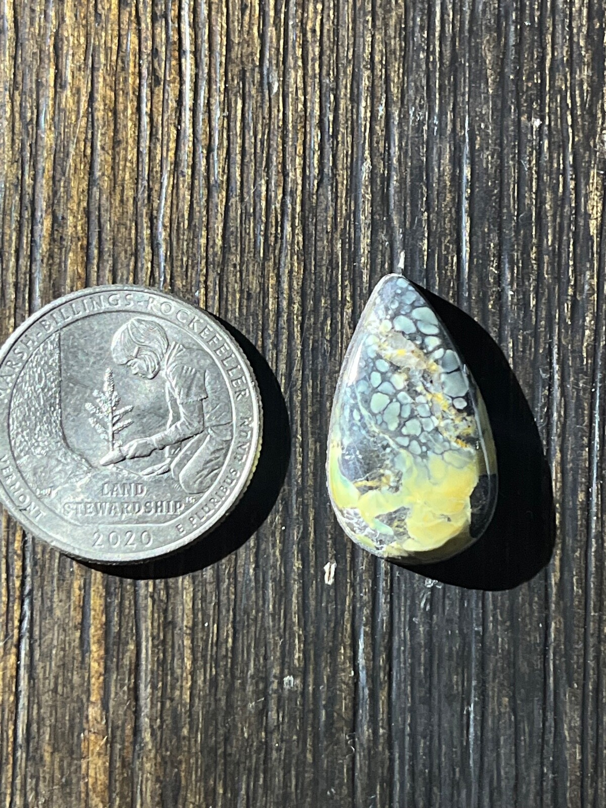 Tree Frog Variscite mine 10.3 ctw pear tear drop Cabochon NV, USA