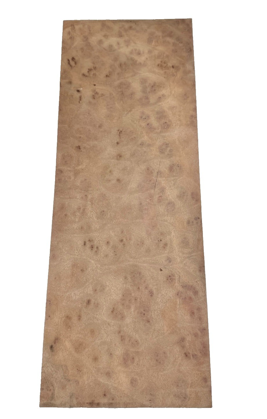 Camphor Burl wood insrument blank 20″ x 7-3/8” x 2″ (v20) dried billet