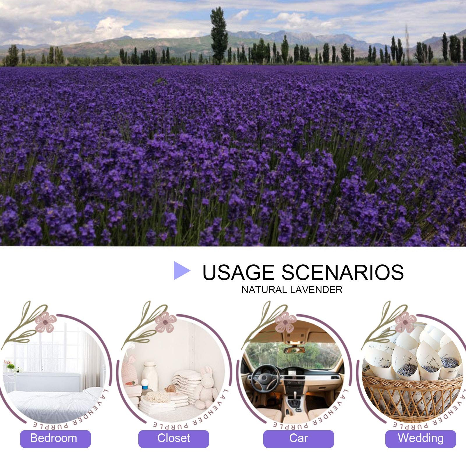 Dried Lavender Flowers, Dry Lavender Buds Bulk for Wedding Toss, Crafts, Sach…