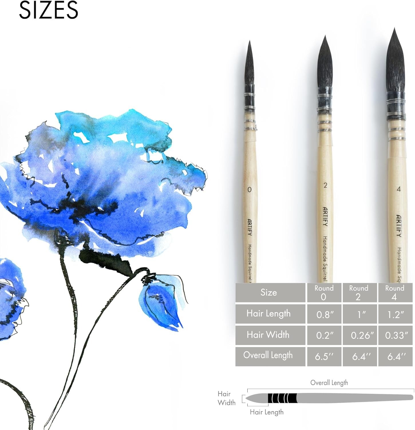 ARTIFY 3PCS Professional Natural Squirrel Hair Quill Watercolor Brushes#0,#2, #4