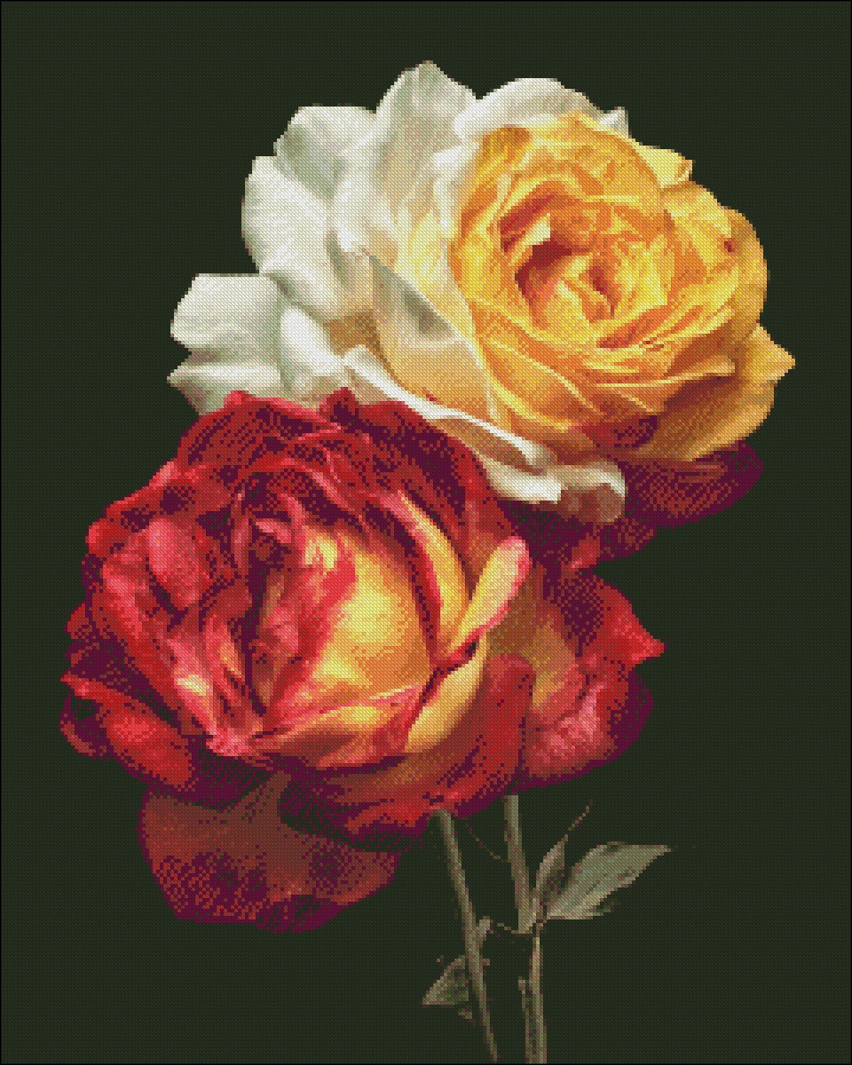 Red and Yellow Roses – Chart Counted Cross Stitch Patterns Needlework DIY DMC