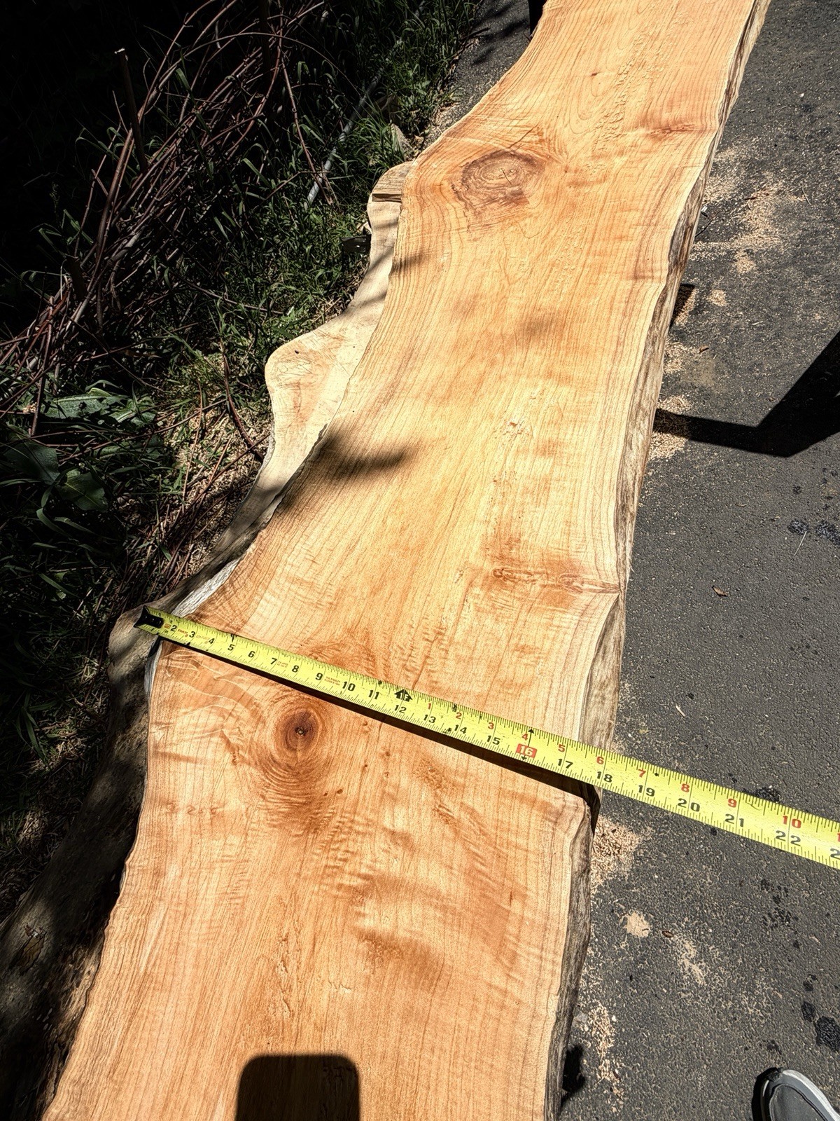 13’ Live Edge Big Leaf Maple Slab Highly Figured Low Moisture Delivery Options