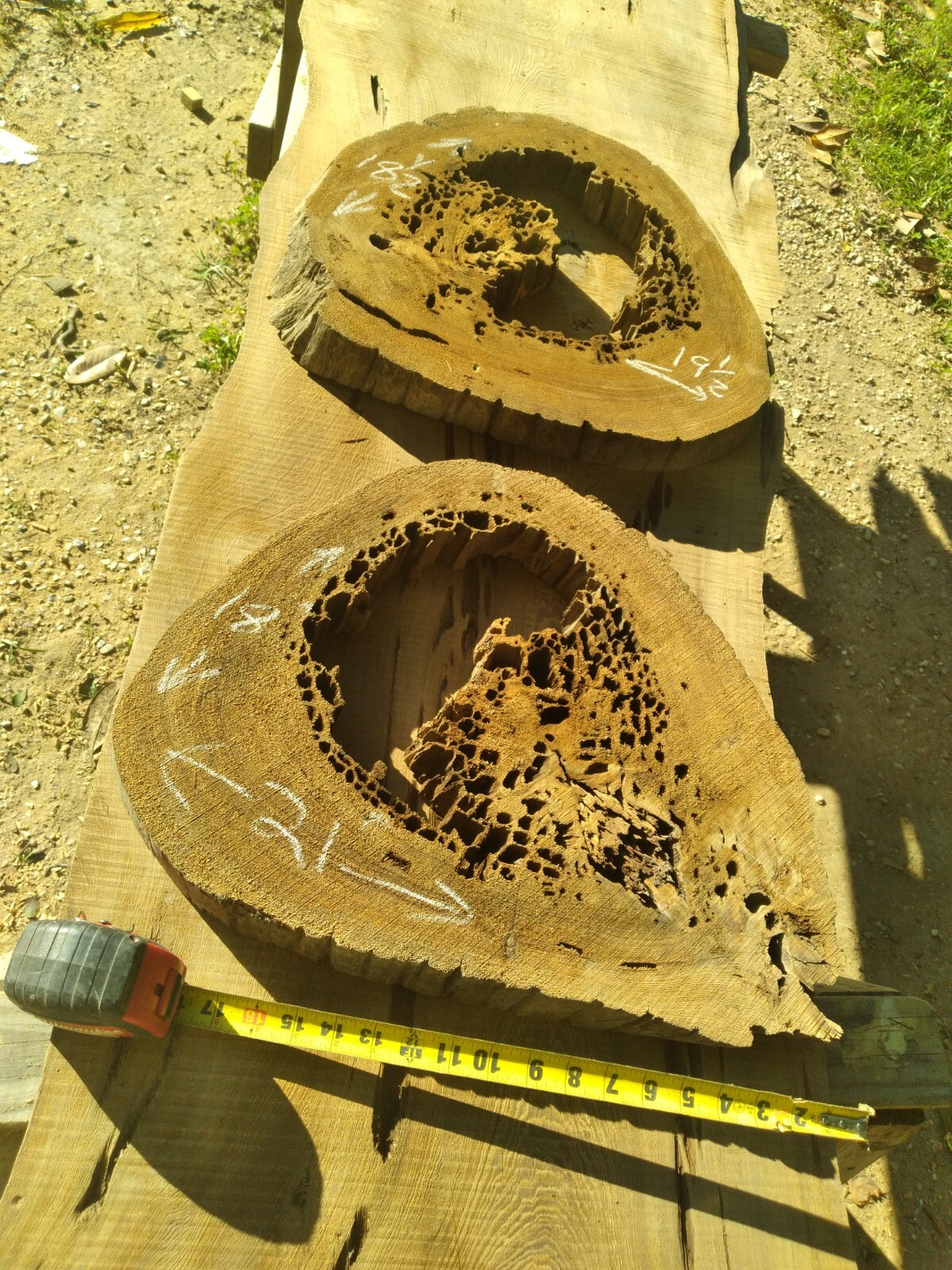 2 Slabs 2″ THICK Bookmatched Returns Accepted! Authentic Pecky Sinker Cypress