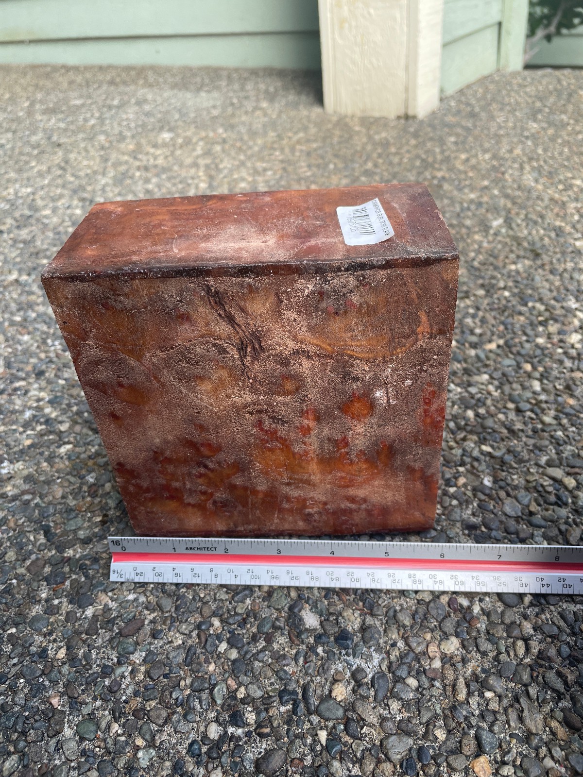 Camphor Burl Wood Bowl Blank 6x6x3 Premium Figured Lathe Turning Block DRY #2