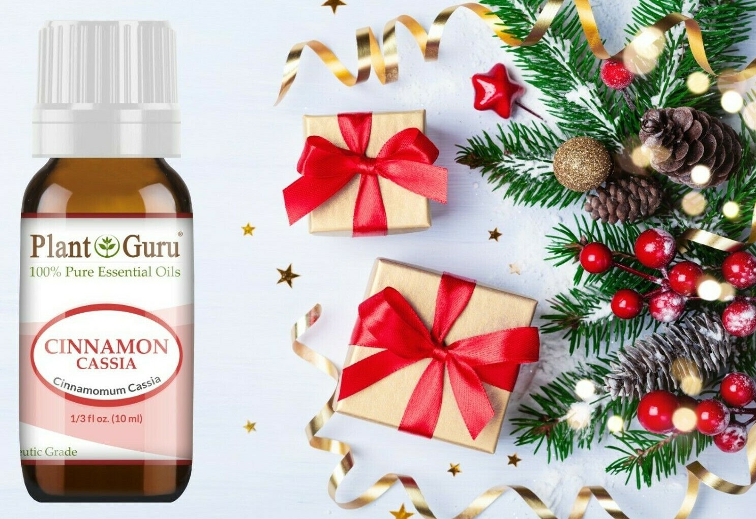 Christmas Holiday Essential Oil Set Pure Aromatherapy Balsam Fir Clove Cinnamon