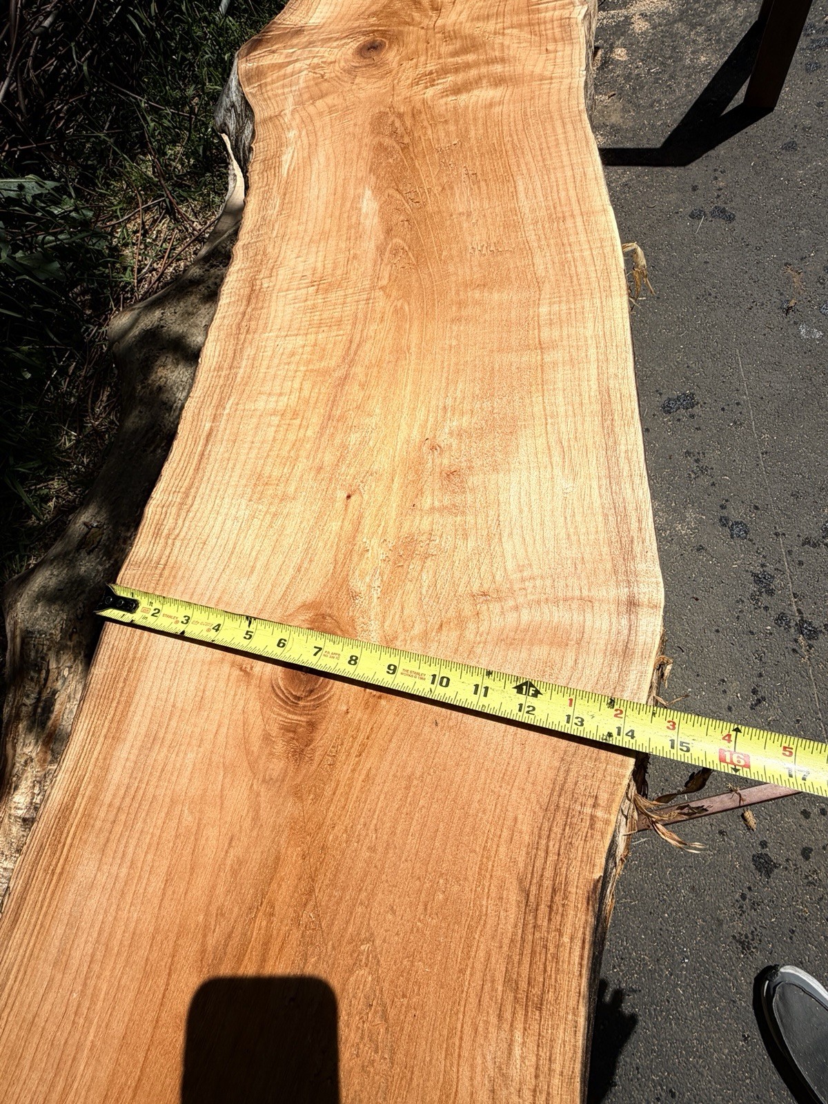 13’ Live Edge Big Leaf Maple Slab Highly Figured Low Moisture Delivery Options