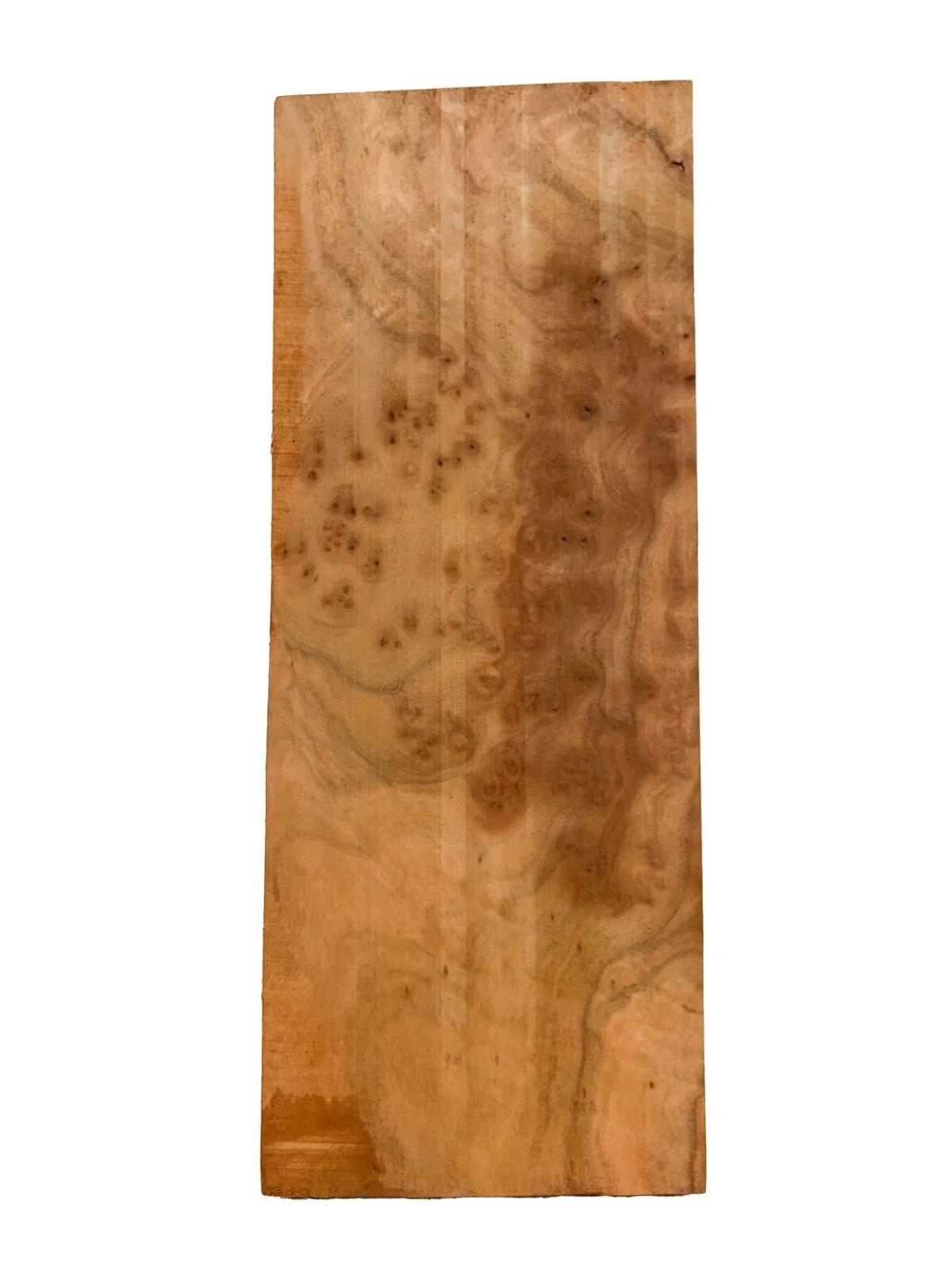 Camphor, Asian Burl Highly Figured guitar body blank – 21″ x 8″ x 2″ [E1079]