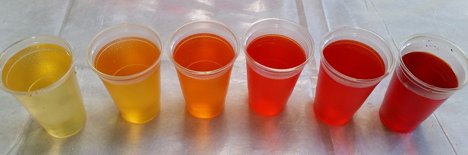 25g Orange FD&C Bath Bomb Dye, batch certified, 100% water Soluble FDA Approved