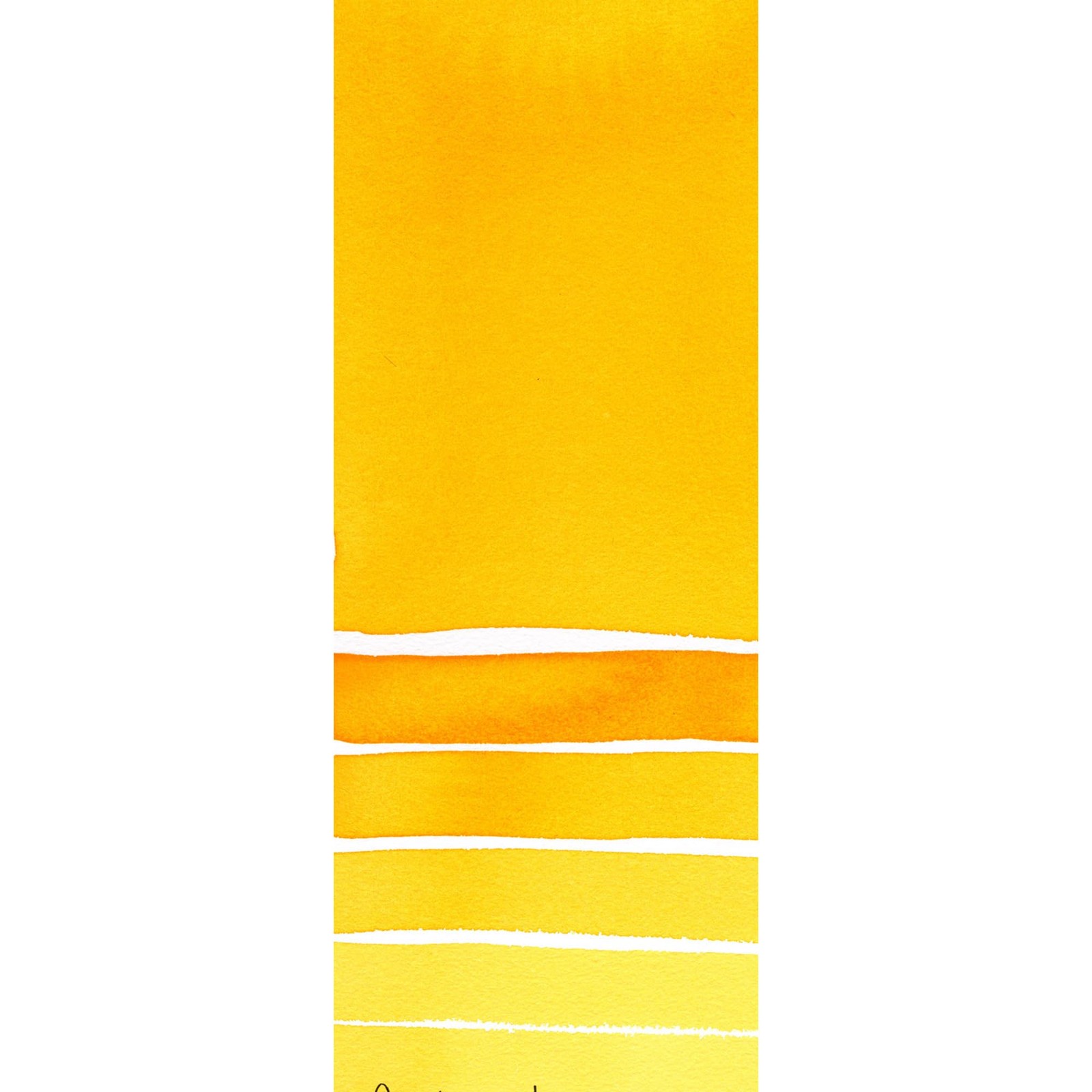Daniel Smith Extra Fine Watercolor Paint, 5ml Tube, New Gamboge Kitchen