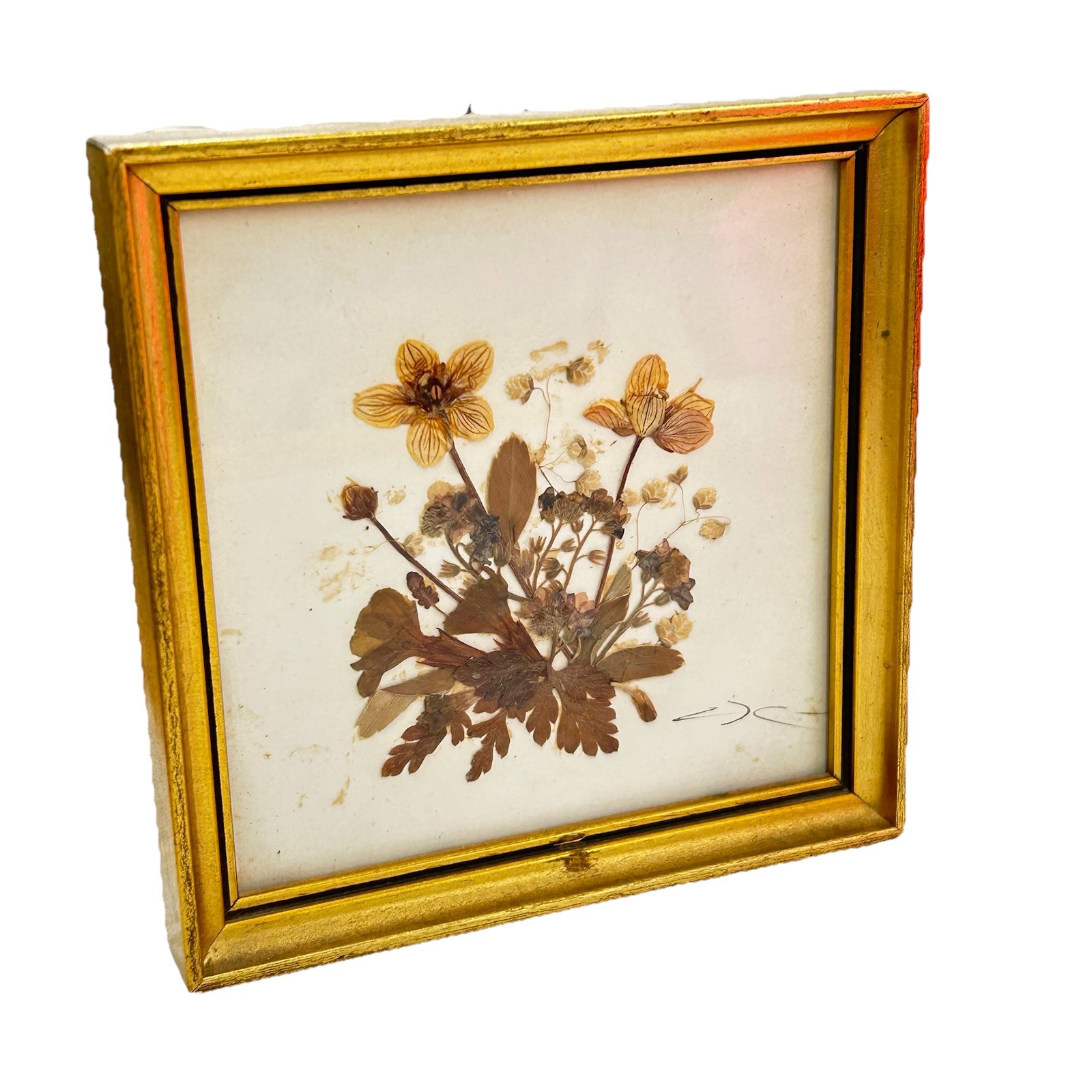 Vintage Tirol Austria Pressed Flower Art Framed Mid Century Dried Botanical 5×5
