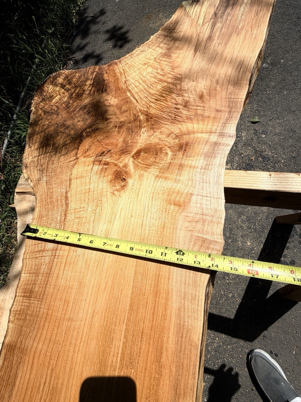 13’ Live Edge Big Leaf Maple Slab Highly Figured Low Moisture Delivery Options