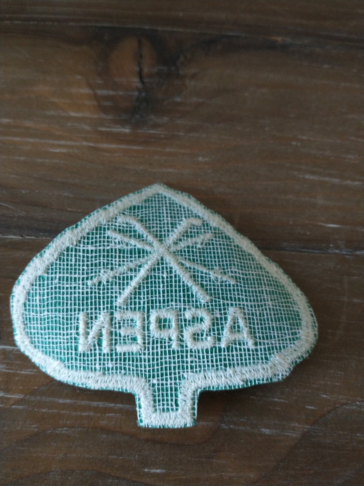 Vintage Aspen Ski Patch – Green Leaf, Crossed Ski Poles Embroidered – 3″ Width