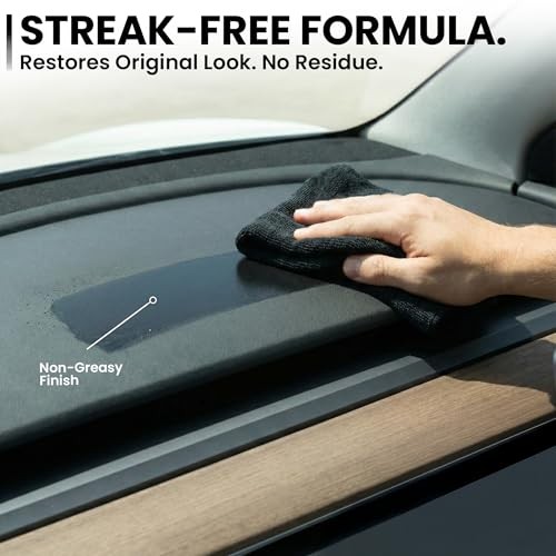 TESLA Interior Cleaner Kit – (16oz) Tesla Model Y Juniper 16 Fl Oz (Pack of 1)