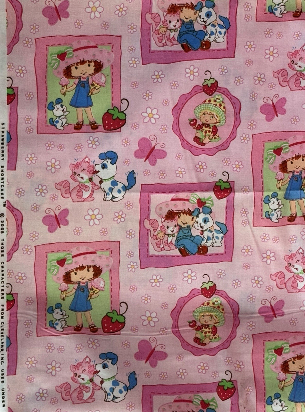 VINTAGE 2003 Strawberry Shortcake Portrait Cotton Fabric – BTFQ: 18″ x 22″