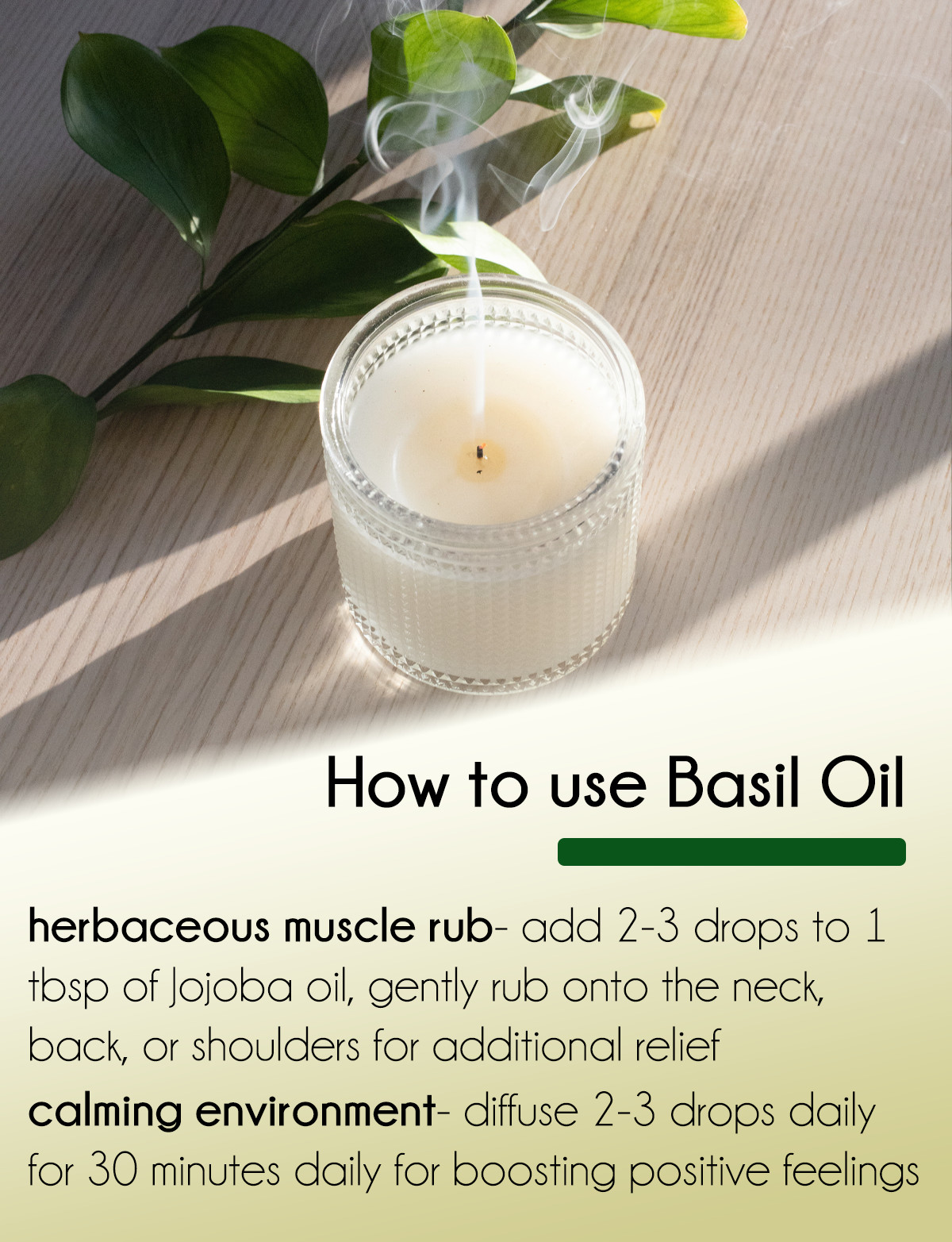 Bulk 8 fl oz Basil Essential Oil Pure Natural in Aluminum Bottle