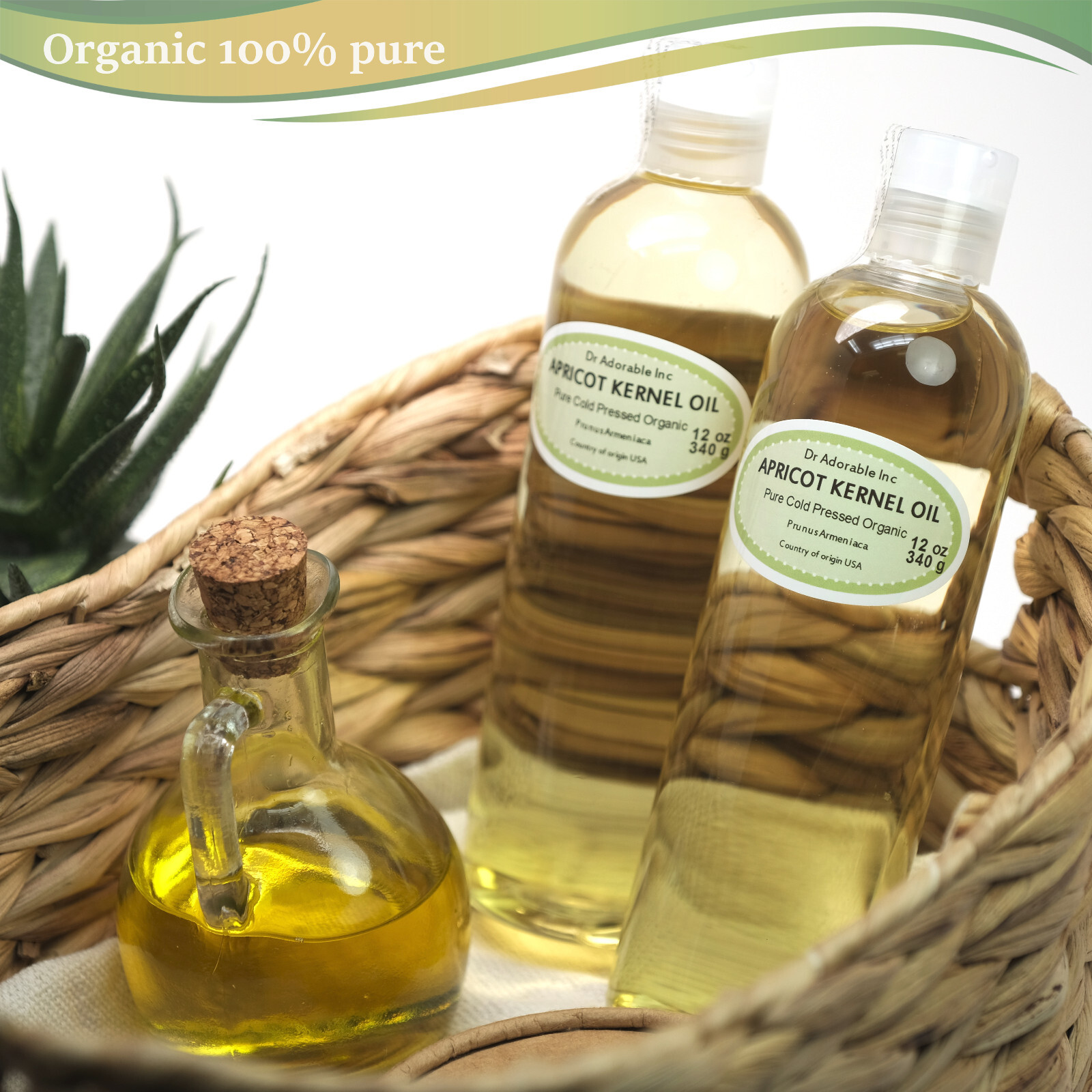 Pure Apricot Kernel Oil Organic by Dr.Adorable 2oz 4oz up to Gallon FreeShipping