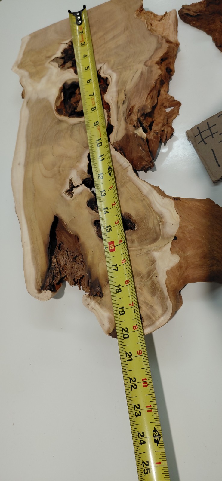 Burl – Fruitless Mulberry Slice. Live Edge. Resin Project, wall art