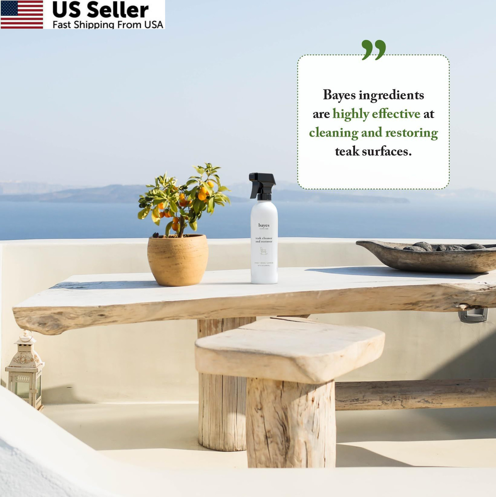 Bayes High Performance Teak Cleaner & Restorer – Cleans, 16 Fl Oz (Pack of 1)