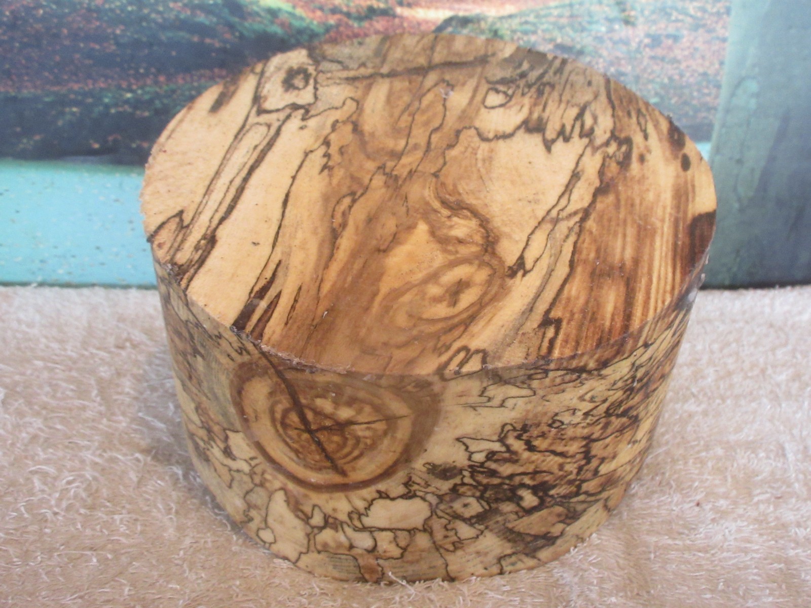 SPALTED HACKBERRY 8 x 4 1/4 TURNING WOOD BOWL BLANK