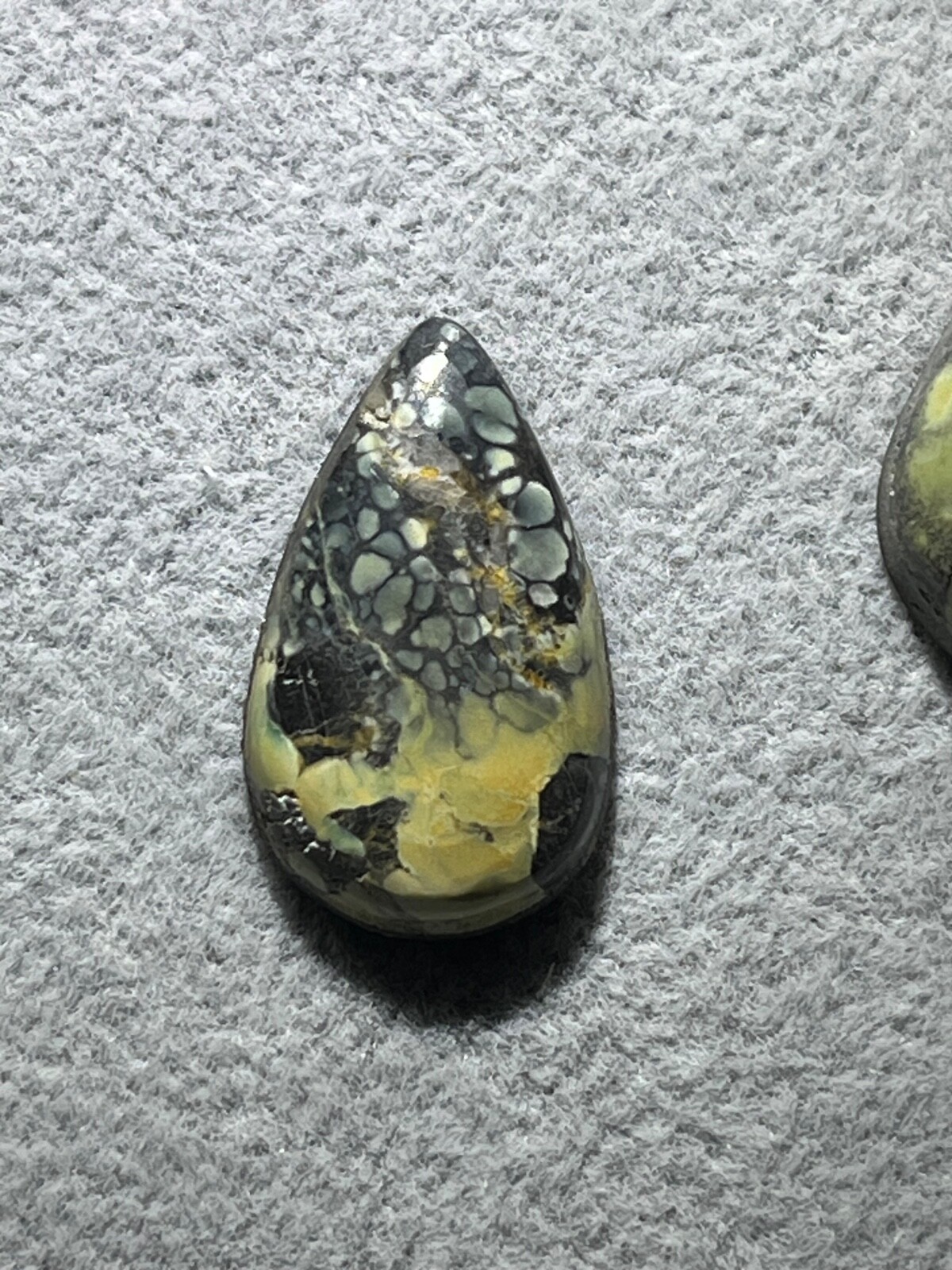 Tree Frog Variscite mine 10.3 ctw pear tear drop Cabochon NV, USA