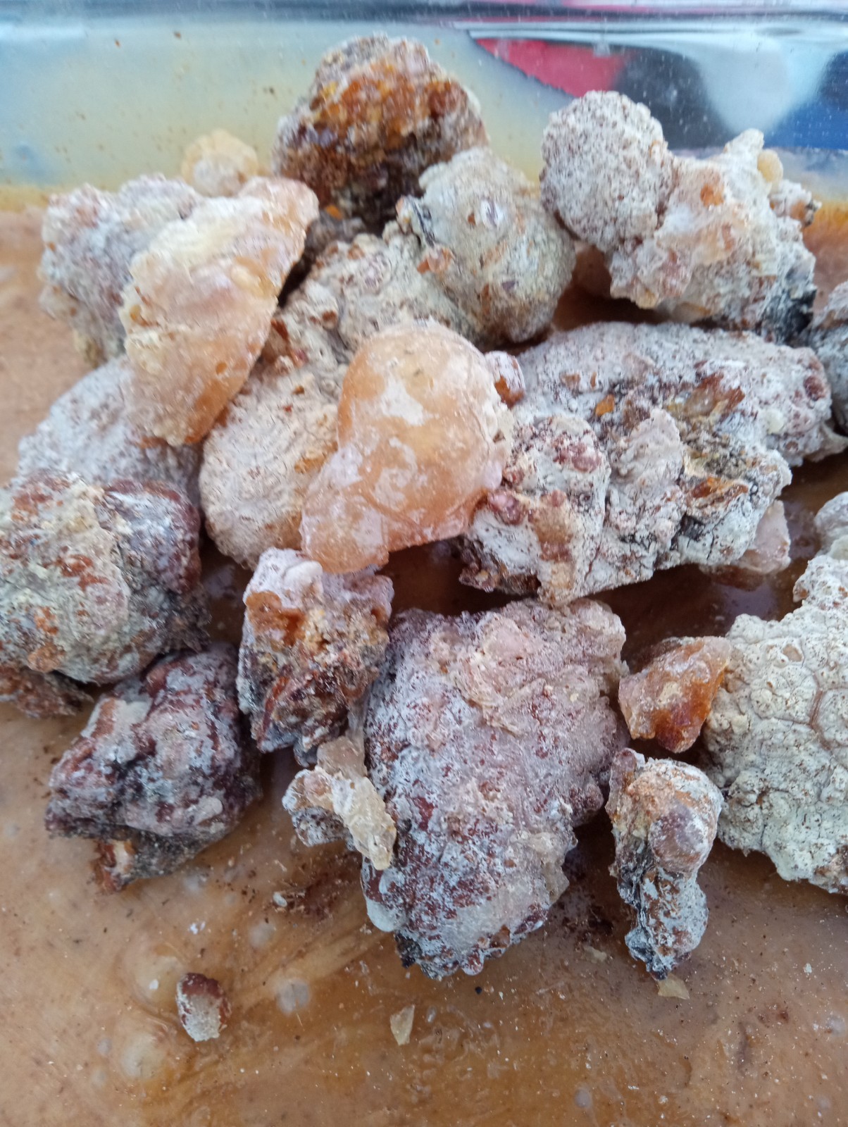 piñon pinon pine sap resin top quality competitive pricing 16OZ for $45