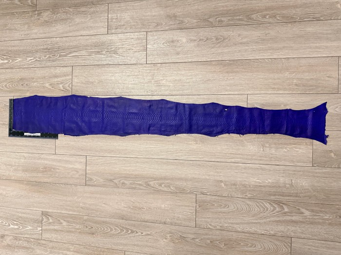 Royal Blue Genuine Python Snakeskin Leather real hide snake skin rattle boa 639
