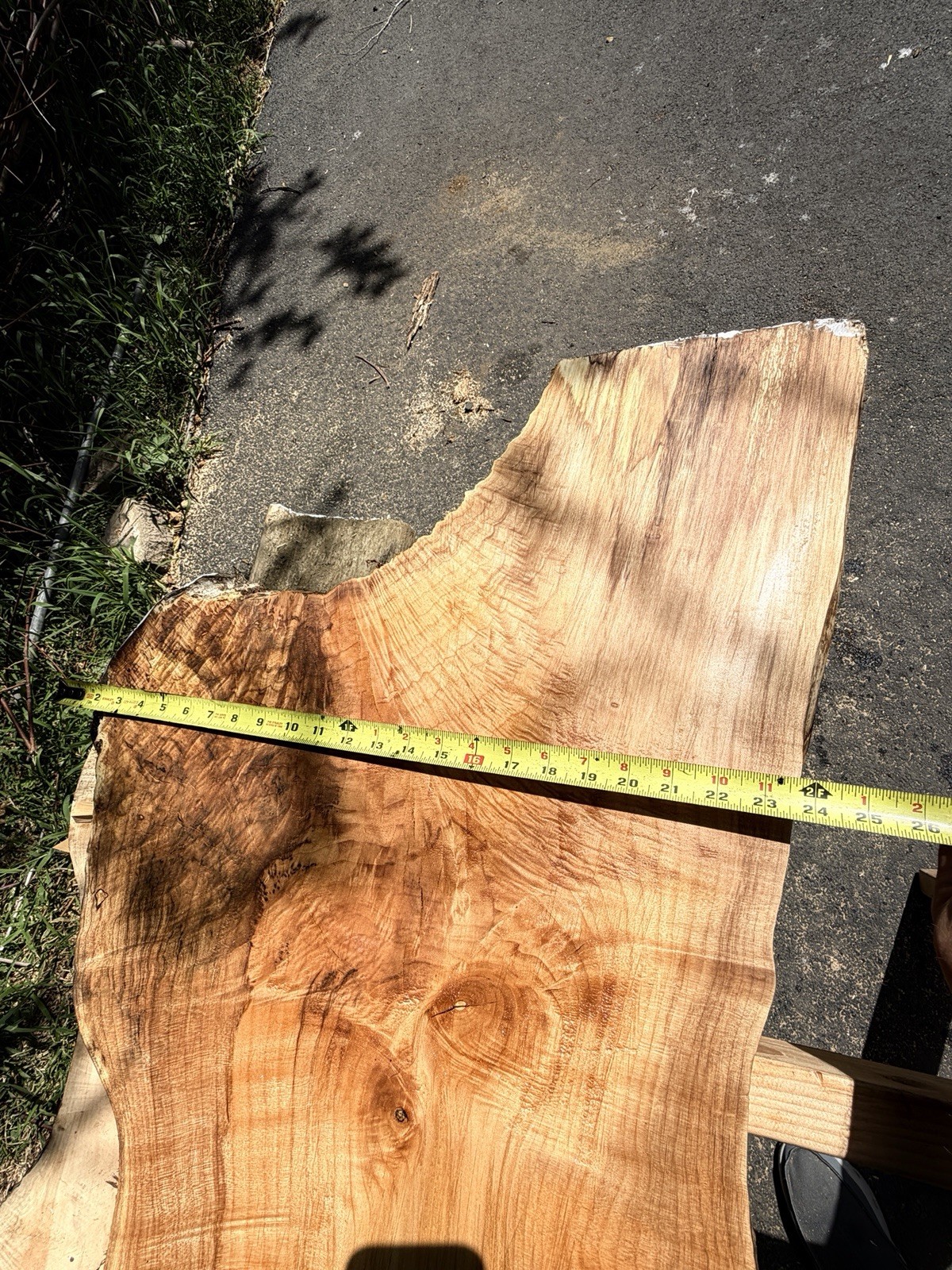 13’ Live Edge Big Leaf Maple Slab Highly Figured Low Moisture Delivery Options