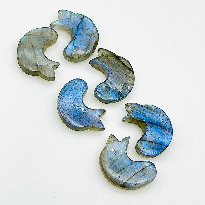 5Pcs Natural Labradorite Dolphin Carving, Hand Carved Dolphin Gemstone, 15 MM,