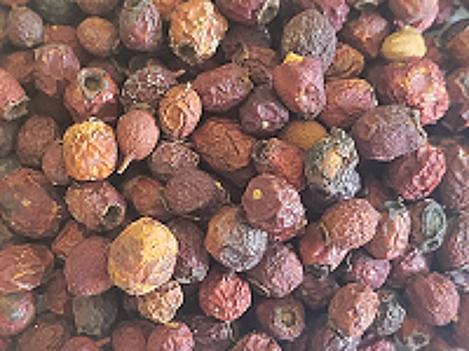 Hawthorn Berries – Crataegus pinnatifida Dried Fruits Apothecary Crafts Wicca