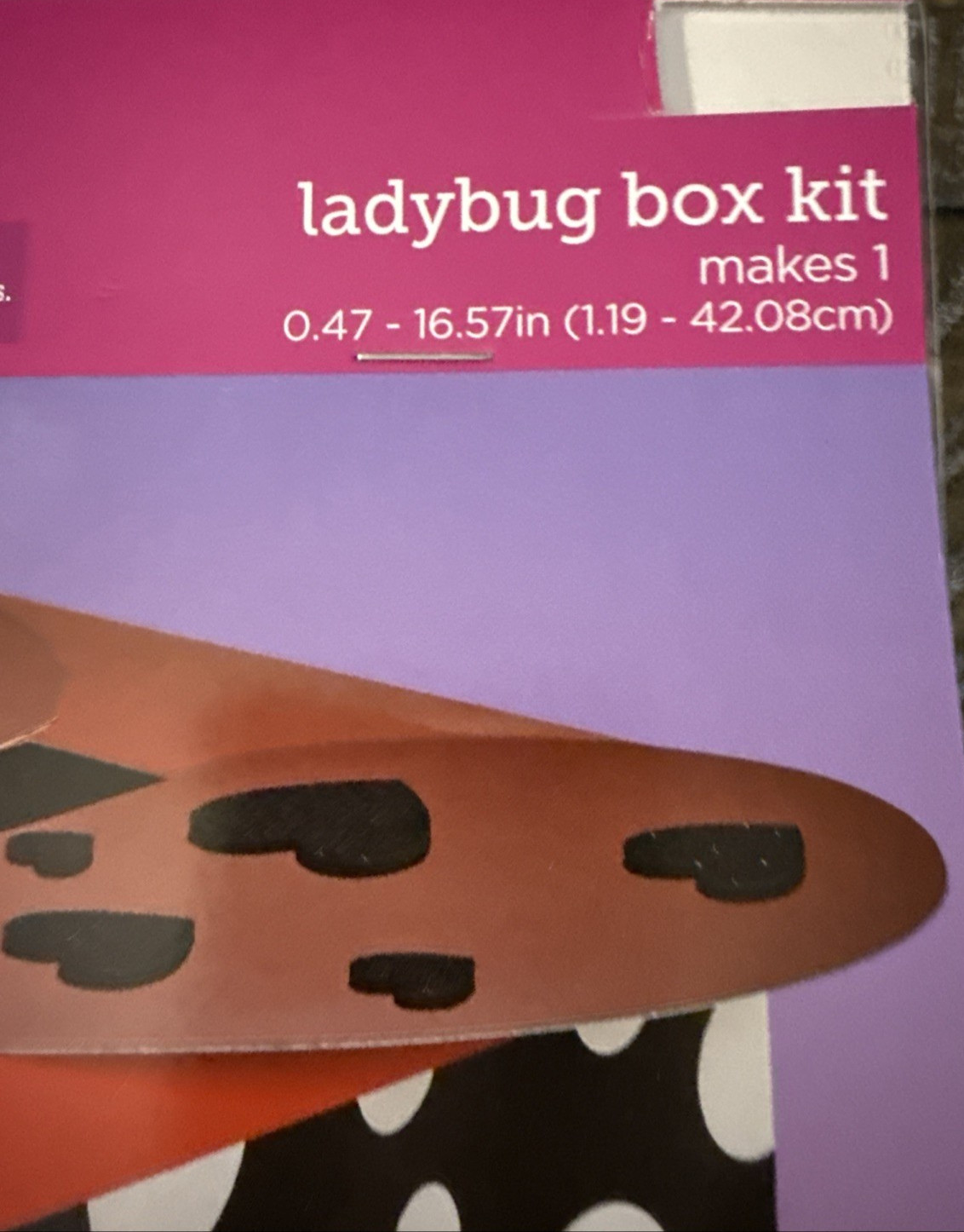 Valentines Crafts Valentines Day Ladybug Box Kit-Brand New-SHIPS N 24 HOURS