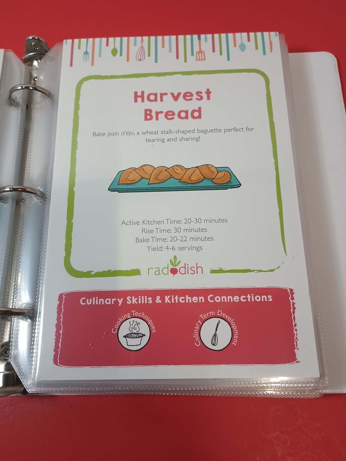 Lot Of 18 RADDISH KIDS Cooking Recipe Cards, INSTRUCTIONS, TRI-FOLD +12 Cards