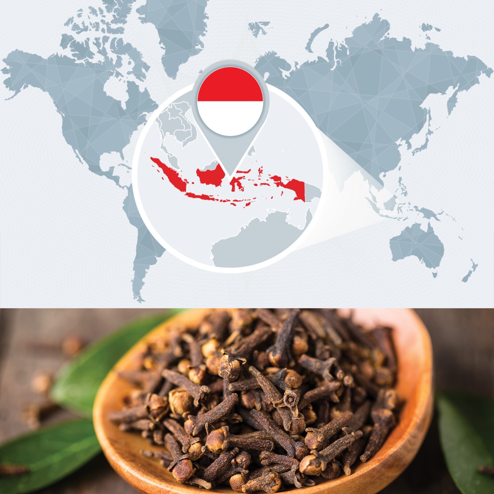 Bulk Clove Essential Oil – Large Wholesale Size – Pure and Undiluted