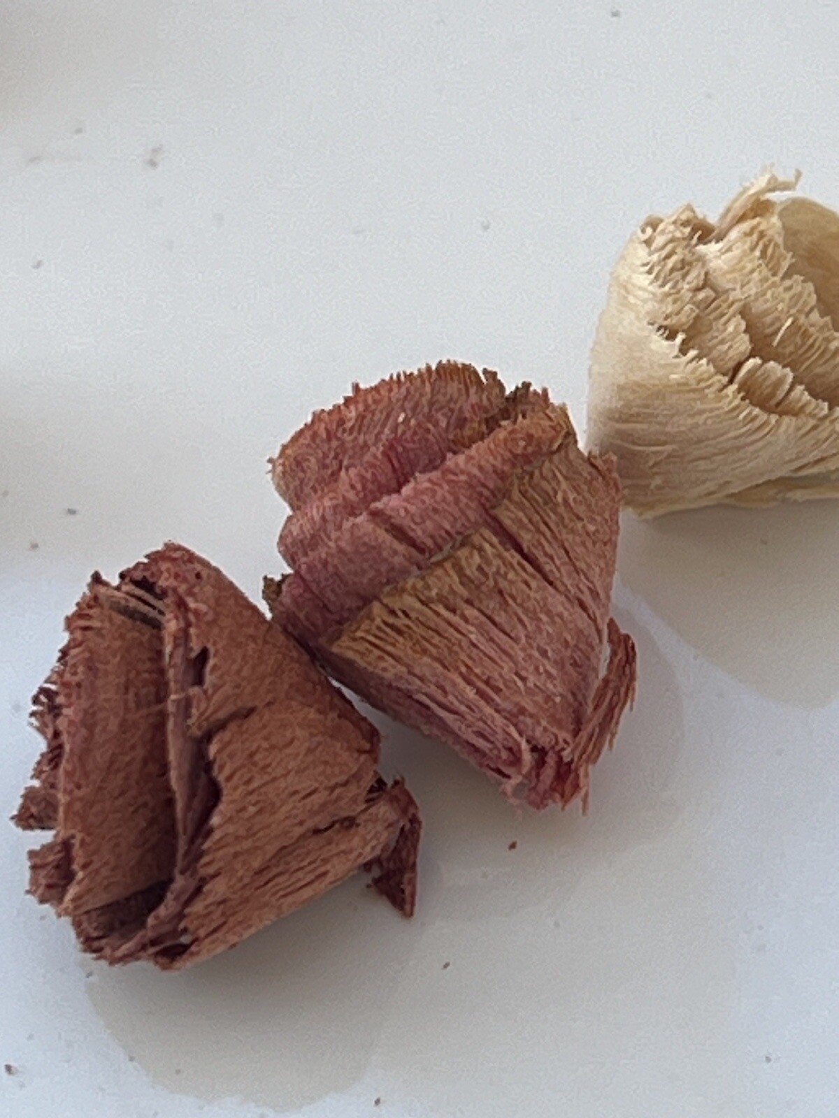 Aromatic Red Cedar Shavings- Natural Cedar Crafting Curls – 5oz