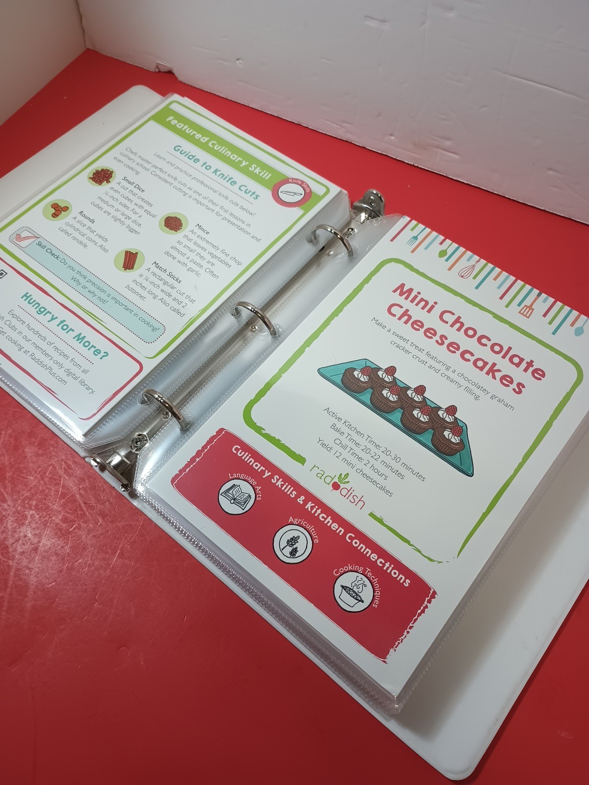 Lot Of 18 RADDISH KIDS Cooking Recipe Cards, INSTRUCTIONS, TRI-FOLD +12 Cards